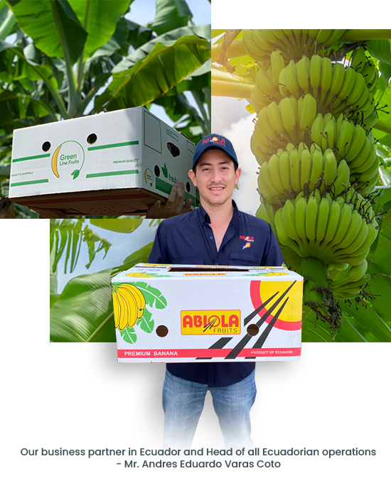 Ecuador Banana Exports